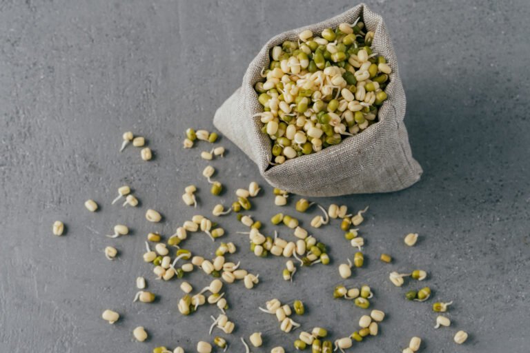 Green orgnaic mung beans with sprouts spread